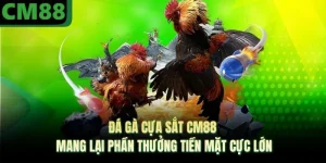 CM88 netplus - CM88.COM - Trang Chủ CM 88 Chính Thức +68K T10/2026 - jade99