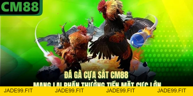 Đá Gà Cựa Sắt CM88 Mang Lại Phần Thưởng Tiền Mặt Cực Lớn - jade99