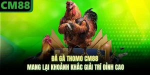 Đá Gà Ở CM88 | Sảnh Thi Đấu Phong Phú, Dịch Vụ Chuyên Nghiệp - jade99