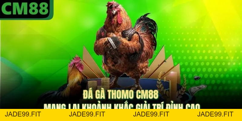 Đá Gà Thomo CM88 Mang Lại Khoảnh Khắc Giải Trí Đỉnh Cao - jade99