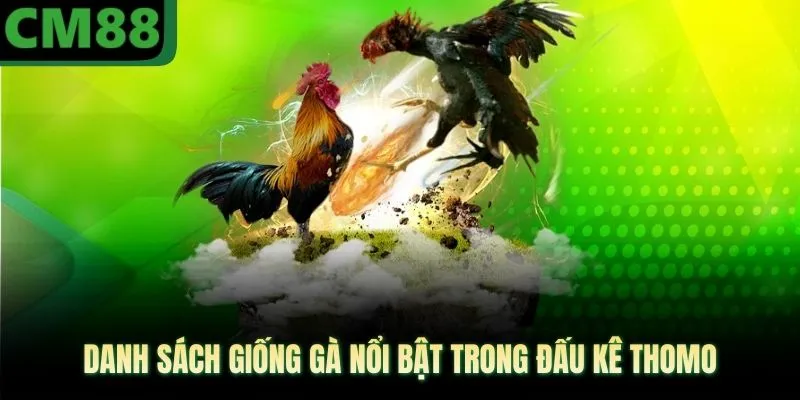 Đá Gà Thomo CM88 Mang Lại Khoảnh Khắc Giải Trí Đỉnh Cao - jade99
