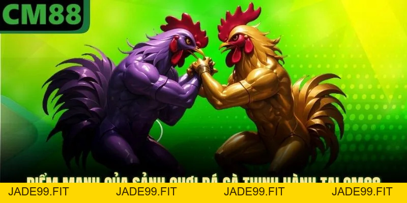 Đá Gà Ở CM88 | Sảnh Thi Đấu Phong Phú, Dịch Vụ Chuyên Nghiệp - jade99