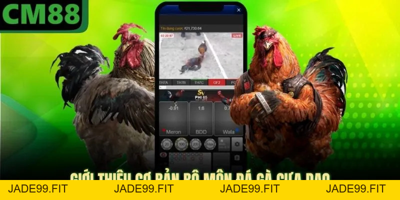 Đá Gà Cựa Dao CM88 Mang Lại Vô Số Phần Thưởng Tiền Tỷ - jade99