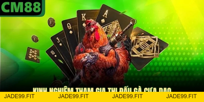 Đá Gà Cựa Dao CM88 Mang Lại Vô Số Phần Thưởng Tiền Tỷ - jade99