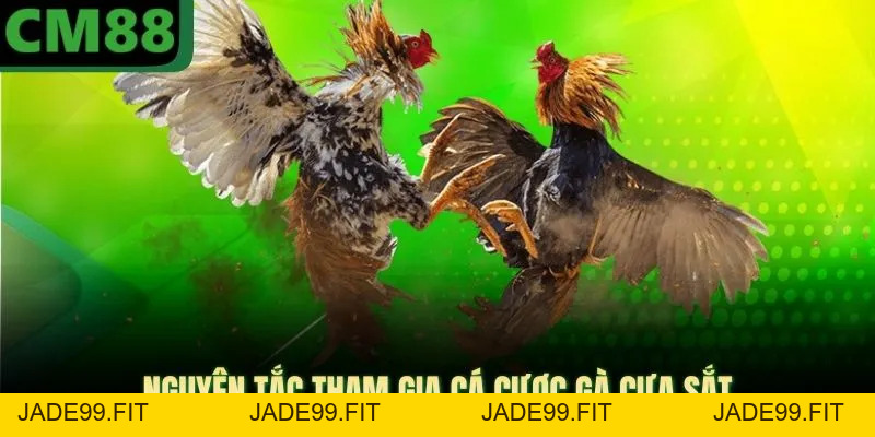 Đá Gà Cựa Sắt CM88 Mang Lại Phần Thưởng Tiền Mặt Cực Lớn - jade99
