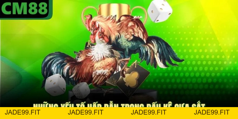 Đá Gà Cựa Sắt CM88 Mang Lại Phần Thưởng Tiền Mặt Cực Lớn - jade99